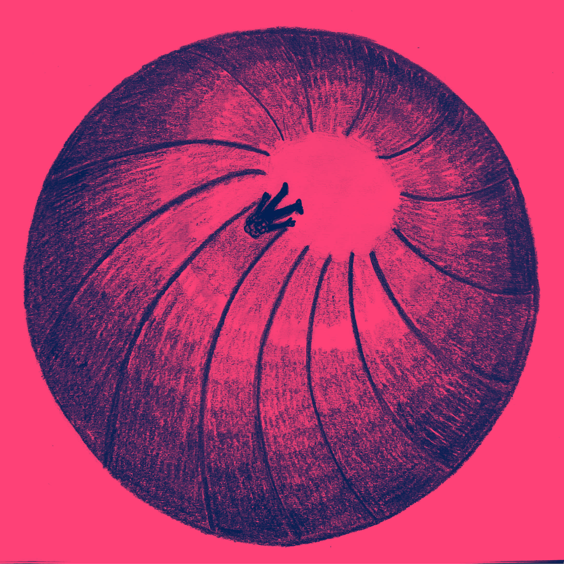 Illustration 8